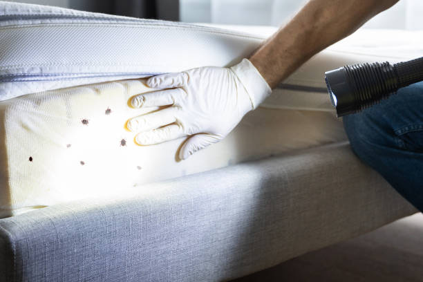 Best Pest Control Treatment  in Garrettsville, OH