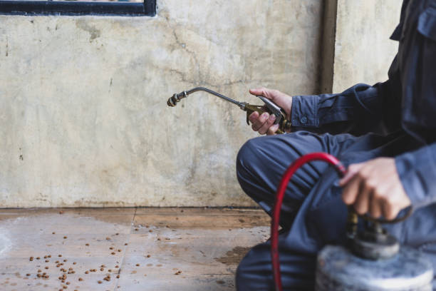 Best Local Pest Control Services  in Garrettsville, OH